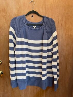 aerie Blue and White Striped Crewneck Sweater